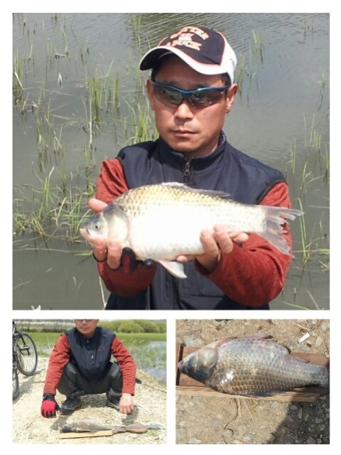 2_130520_manjung145053.jpg