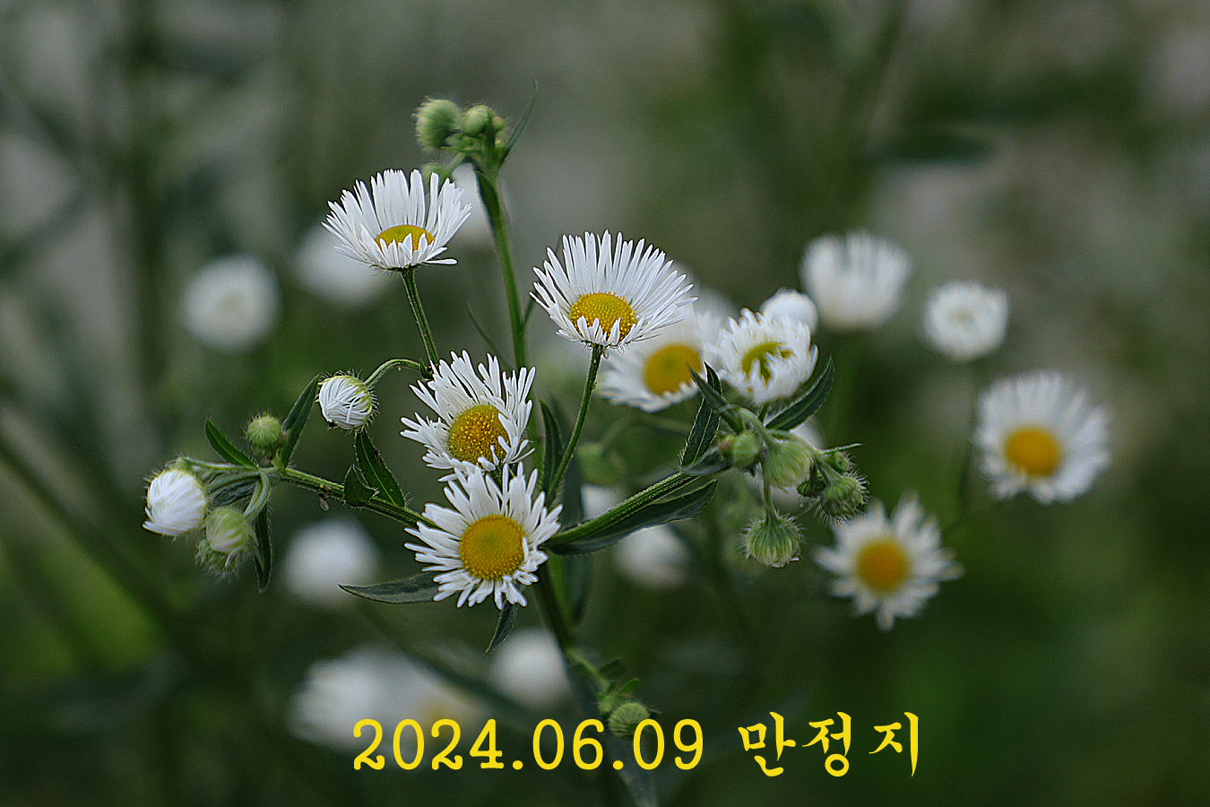 a6dd16a7c2565cdef0a1bd307ebe8b2c_1717917002_547.jpg