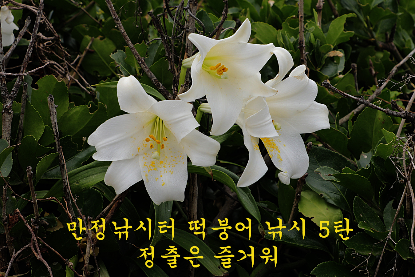 c60accea2e7484d01503c40e3036cedb_1717317127_4359.jpg