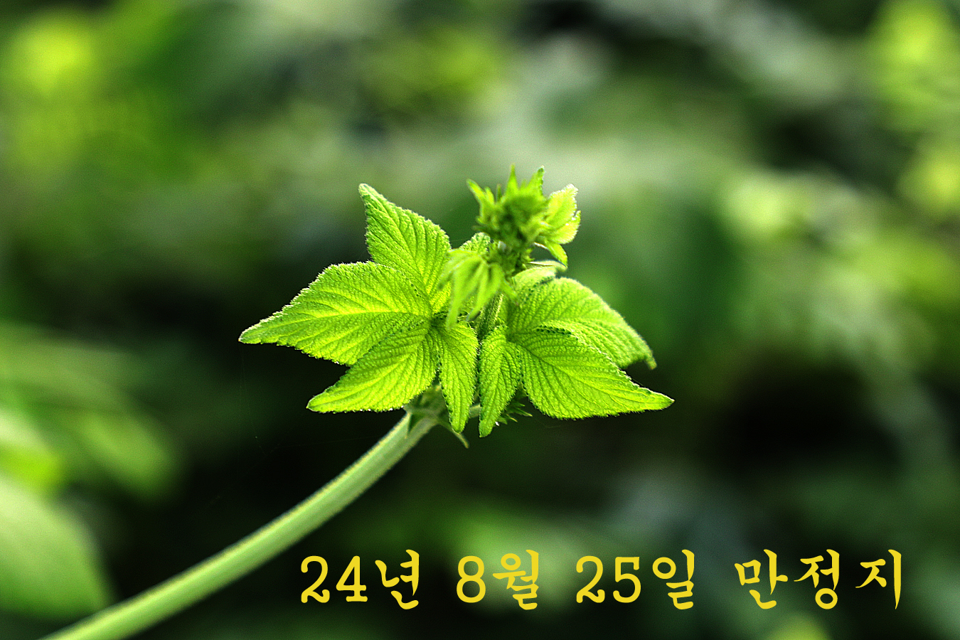 a593cc9016ea7984e270e41adaf5a620_1724563920_2889.jpg