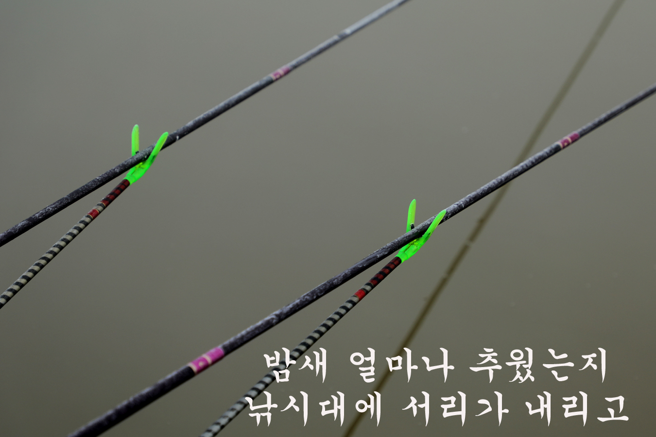a9d3003b503a27e6a552ef6a4f8c184f_1741493578_3695.jpg