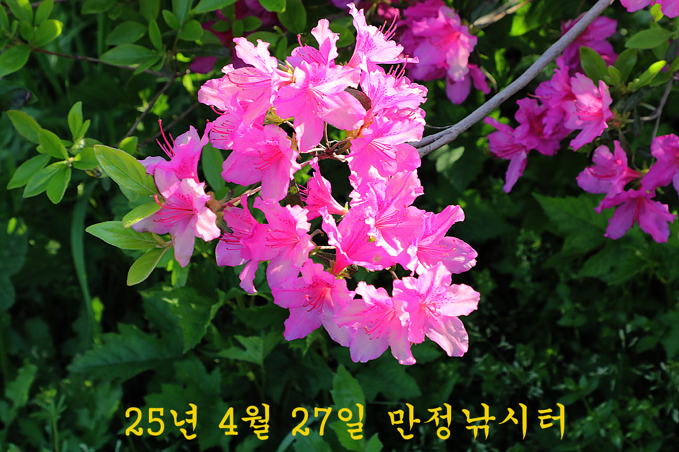2b1329802021e0bd4359c67327983222_1745748777_6645.jpg