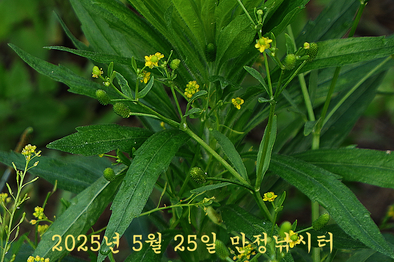 ab8e971cac5d5e2f68a6f3dd1ed7ff4f_1748165076_4504.jpg