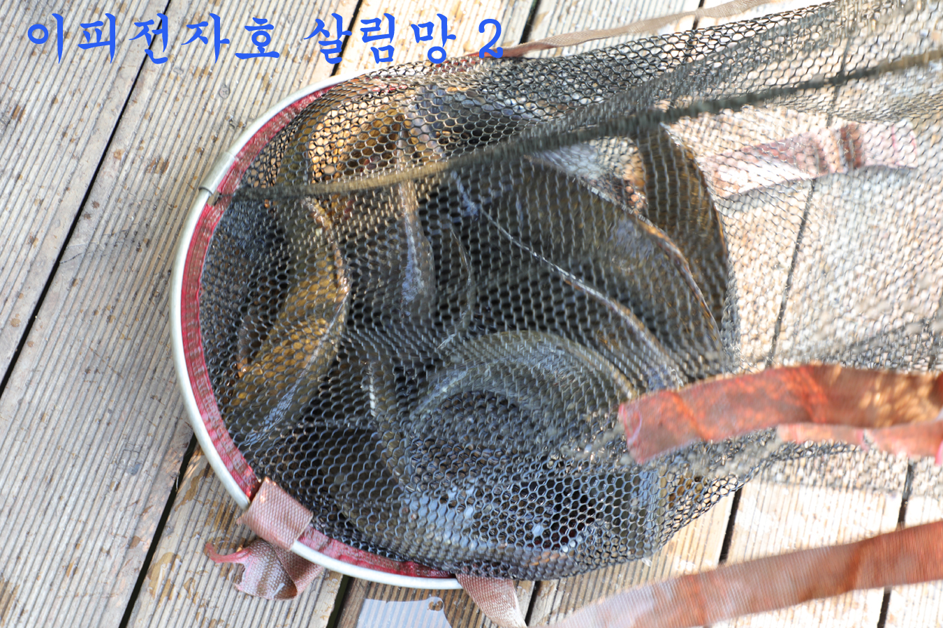 ab8e971cac5d5e2f68a6f3dd1ed7ff4f_1748165092_9564.jpg