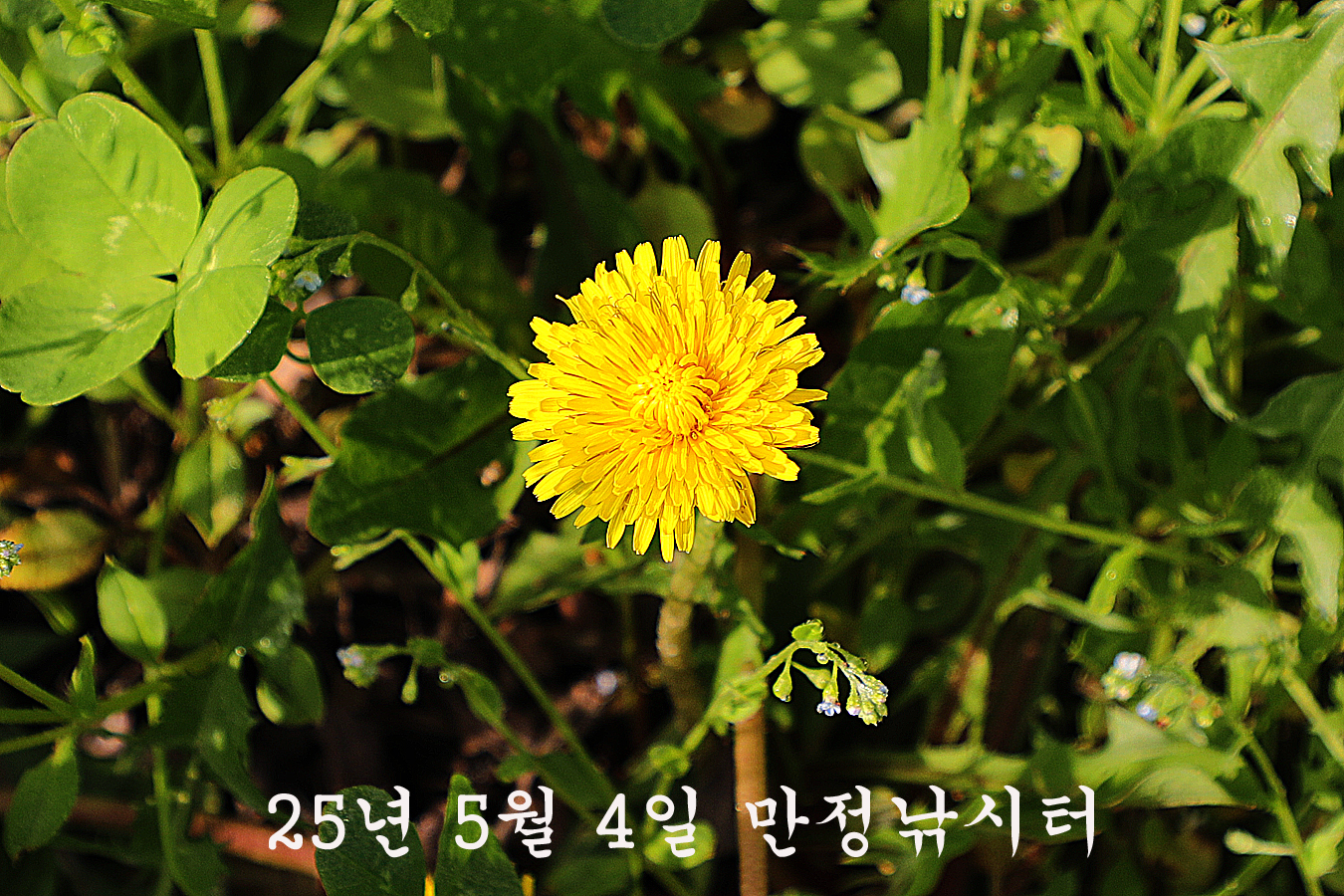 e407be491f93af113a3def03fc5e86bd_1746350523_4217.jpg