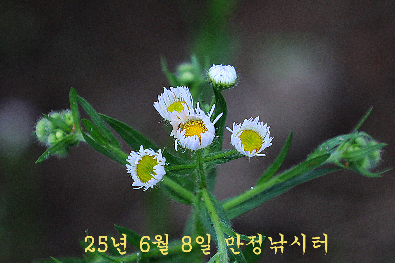 ea2dbbf6774ad5482c754afd8ad1edaa_1749354136_0152.jpg