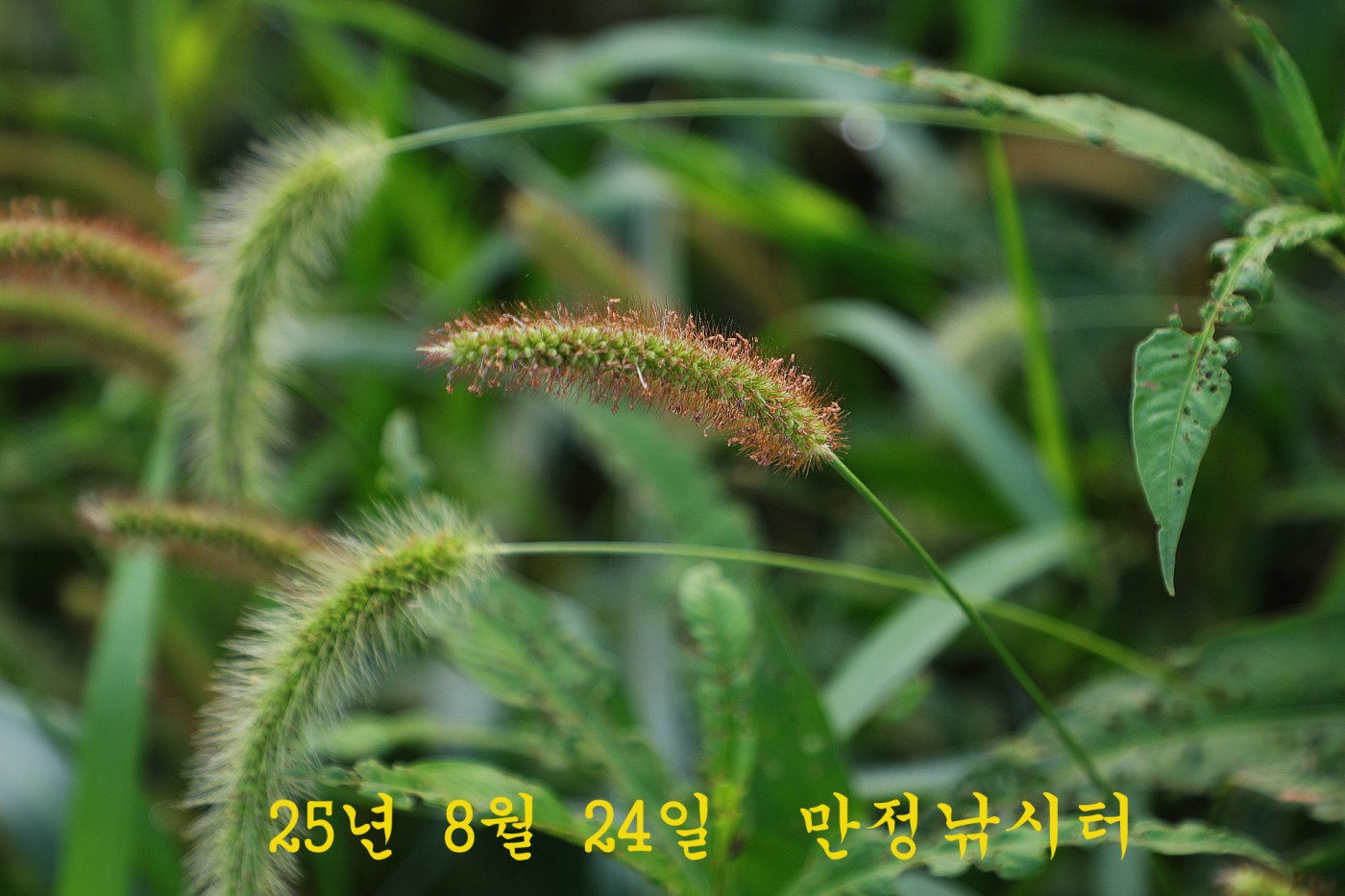 685db4dfc3fe2468b6750fc72b454439_1756019334_5491.jpg