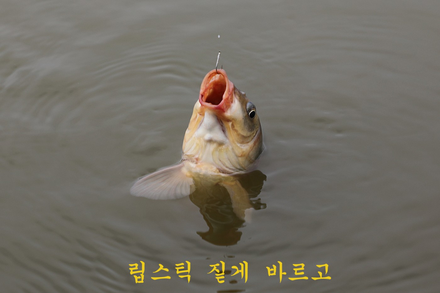 3c3e4476b11d37674933ad21d2fb4ddf_1781427454_9718.jpg