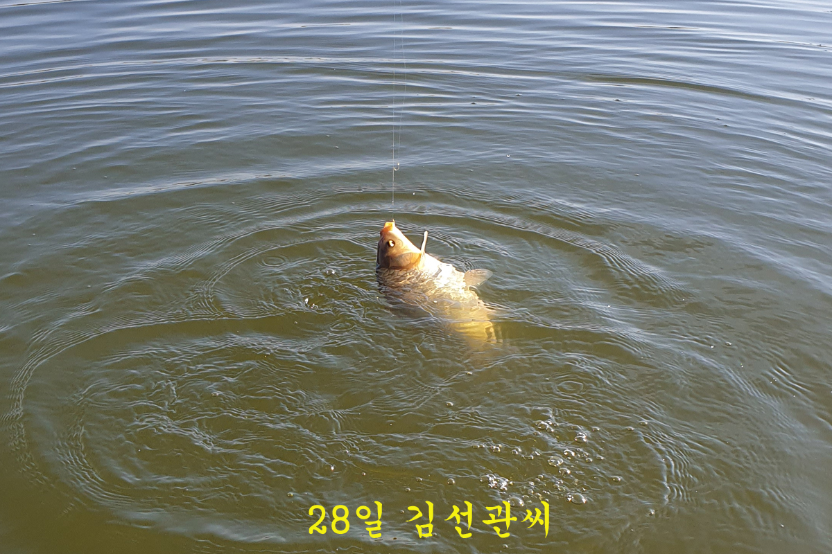2032cae2f05e29799ead2a454a05a0bb_1643534908_0228.jpg 2032cae2f05e29799ead2a454a05a0bb_1643534908_0228.jpg