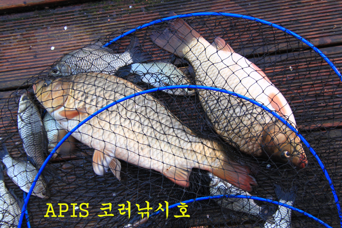 206eebbfb57c5df8be52b5c3be98007a_1635676702_6336.jpg 206eebbfb57c5df8be52b5c3be98007a_1635676702_6336.jpg