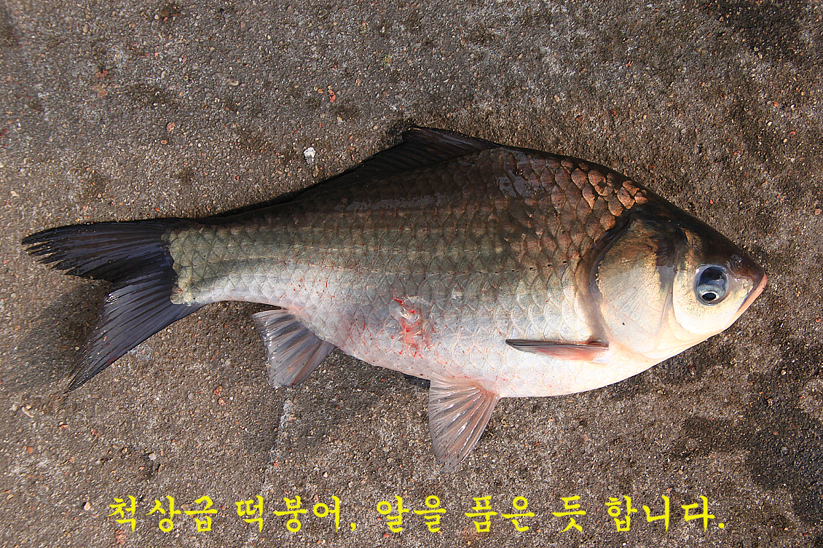 2d46c8a801cc653e925247c78ff189ef_1644733078_037.jpg 2d46c8a801cc653e925247c78ff189ef_1644733078_037.jpg