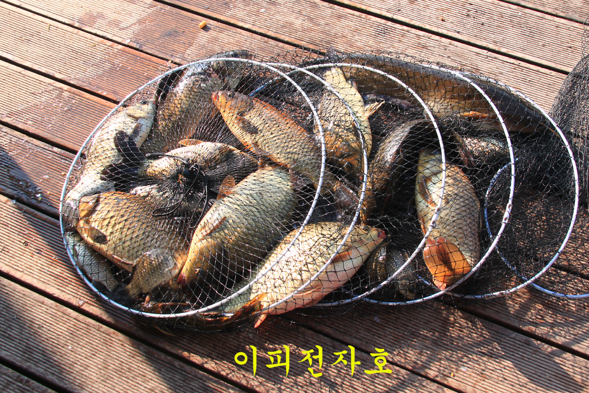 2dd05364ee28263d9737bd805fd1e4d8_1650179811_5664.jpg 2dd05364ee28263d9737bd805fd1e4d8_1650179811_5664.jpg