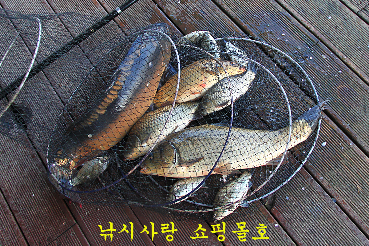 2dd05364ee28263d9737bd805fd1e4d8_1650179811_7066.jpg 2dd05364ee28263d9737bd805fd1e4d8_1650179811_7066.jpg