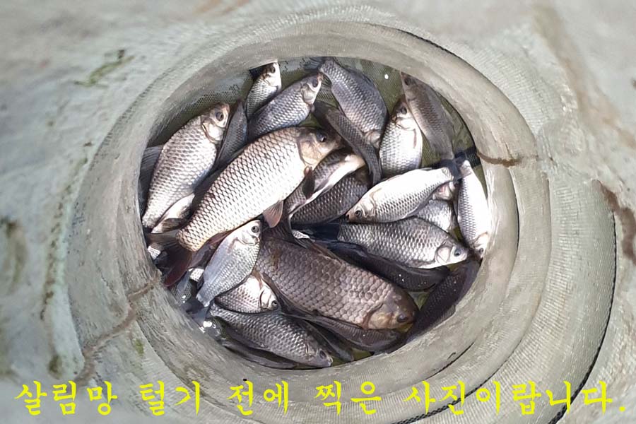 30a74e8048647b360992fceee84d2861_1647154748_764.jpg 30a74e8048647b360992fceee84d2861_1647154748_764.jpg