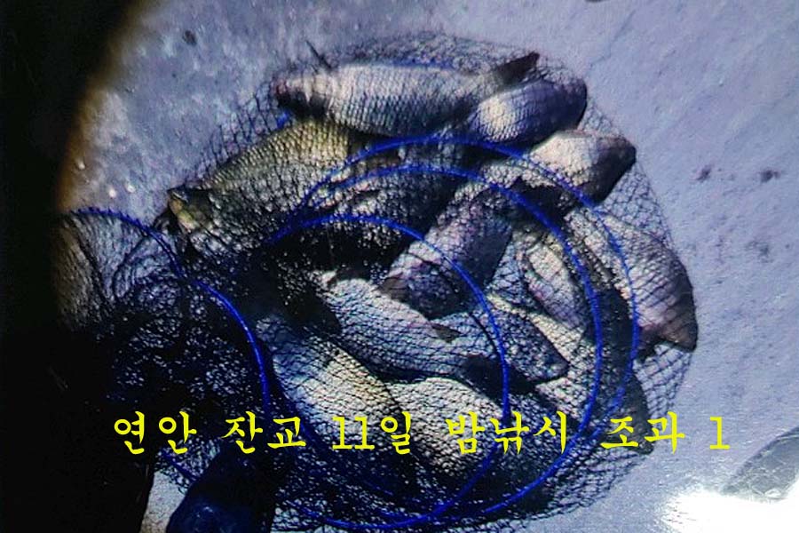 30a74e8048647b360992fceee84d2861_1647154761_3425.jpg 30a74e8048647b360992fceee84d2861_1647154761_3425.jpg