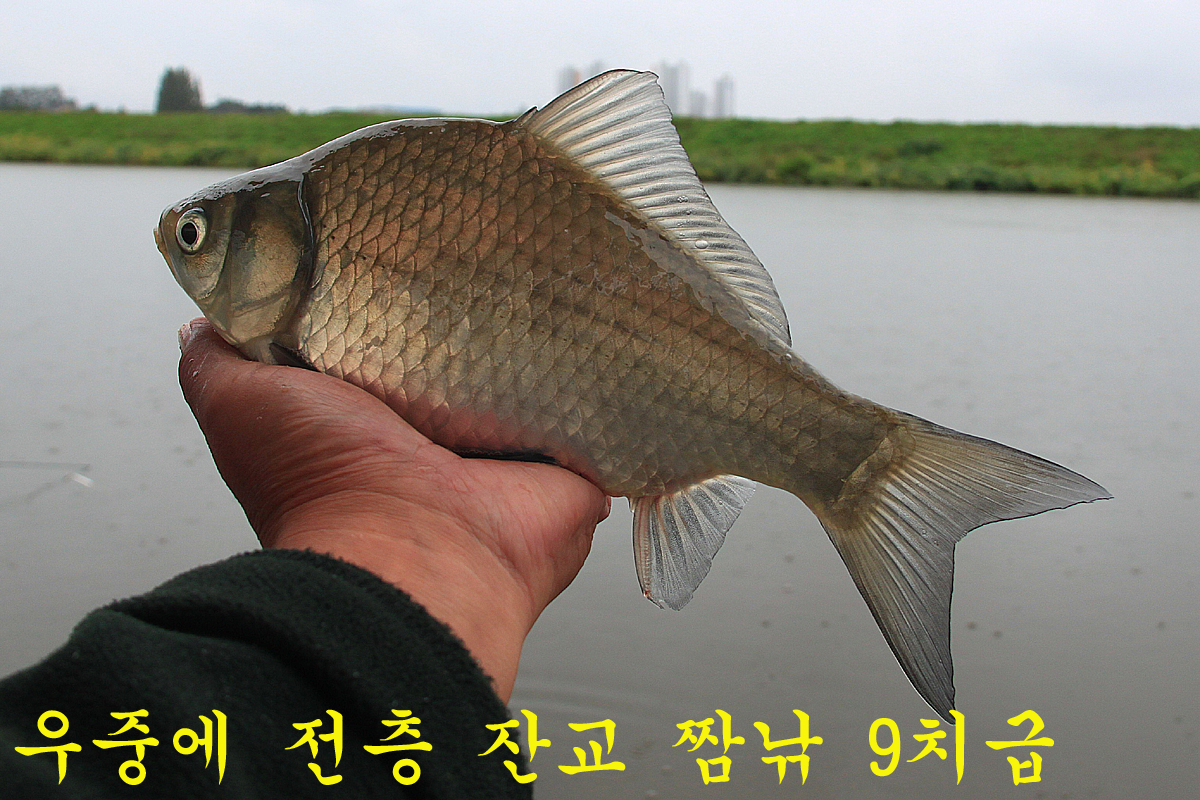 30f0f6935203dd79fc0ebd22aed285ab_1665308209_8075.jpg 30f0f6935203dd79fc0ebd22aed285ab_1665308209_8075.jpg