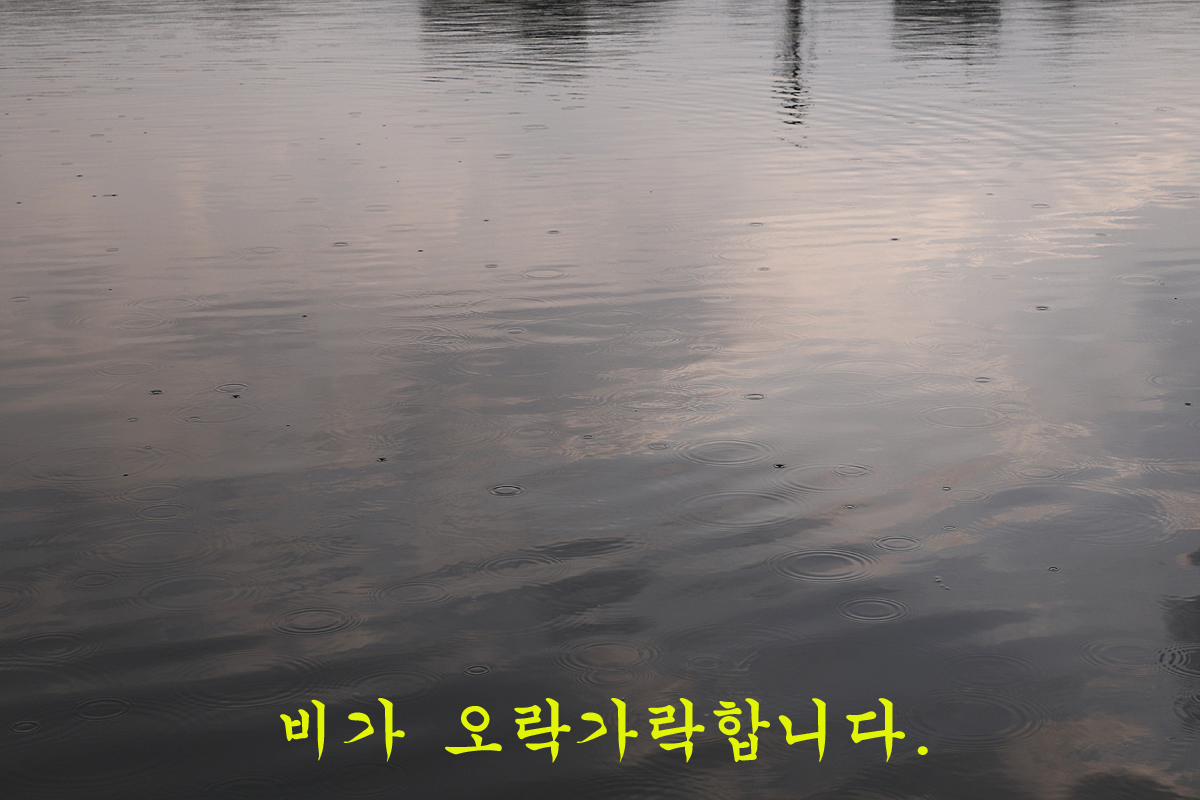 3ae85f6ee853ee4a80558ad96058391a_1668506680_4607.jpg 3ae85f6ee853ee4a80558ad96058391a_1668506680_4607.jpg