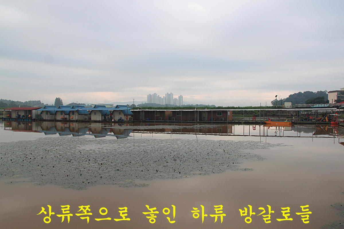 3e3216a733229cb5bcd86173a852fb6c_1660467413_7583.jpg 3e3216a733229cb5bcd86173a852fb6c_1660467413_7583.jpg