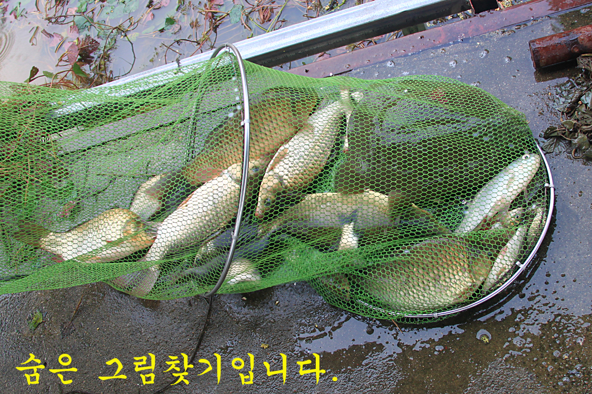 3e3216a733229cb5bcd86173a852fb6c_1660467424_1635.jpg 3e3216a733229cb5bcd86173a852fb6c_1660467424_1635.jpg