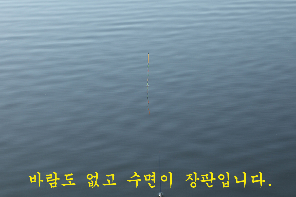 443a78bd3261c0368eab395f20c7bf9d_1674283318_4125.jpg 443a78bd3261c0368eab395f20c7bf9d_1674283318_4125.jpg