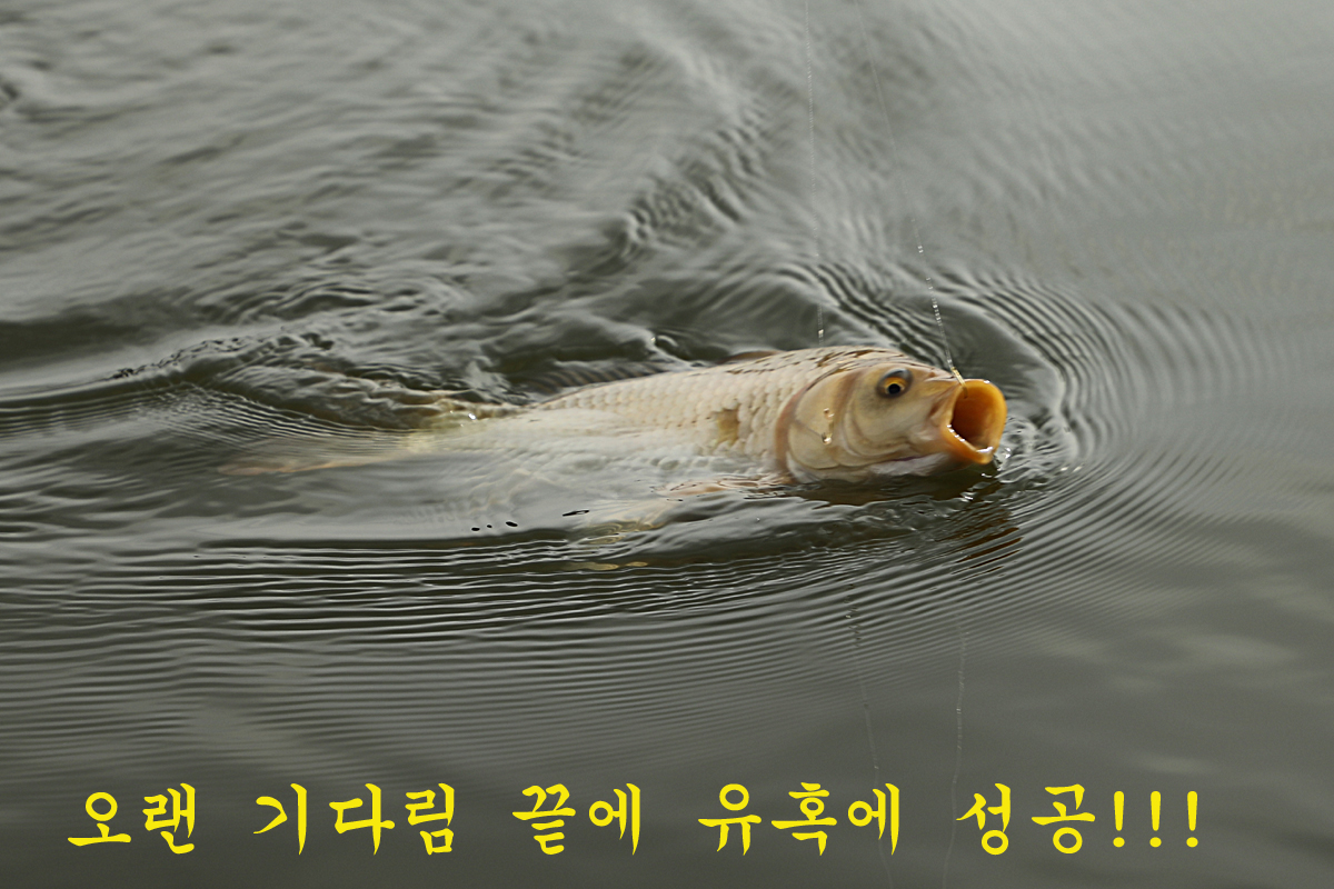 443a78bd3261c0368eab395f20c7bf9d_1674464795_6953.jpg 443a78bd3261c0368eab395f20c7bf9d_1674464795_6953.jpg