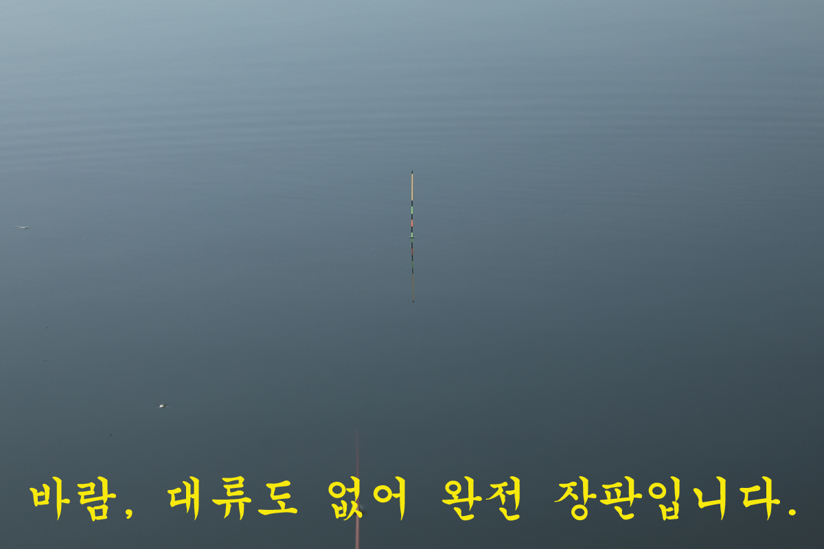 5edeeccde392c52e42e0166a937e0014_1677418531_0834.jpg 5edeeccde392c52e42e0166a937e0014_1677418531_0834.jpg