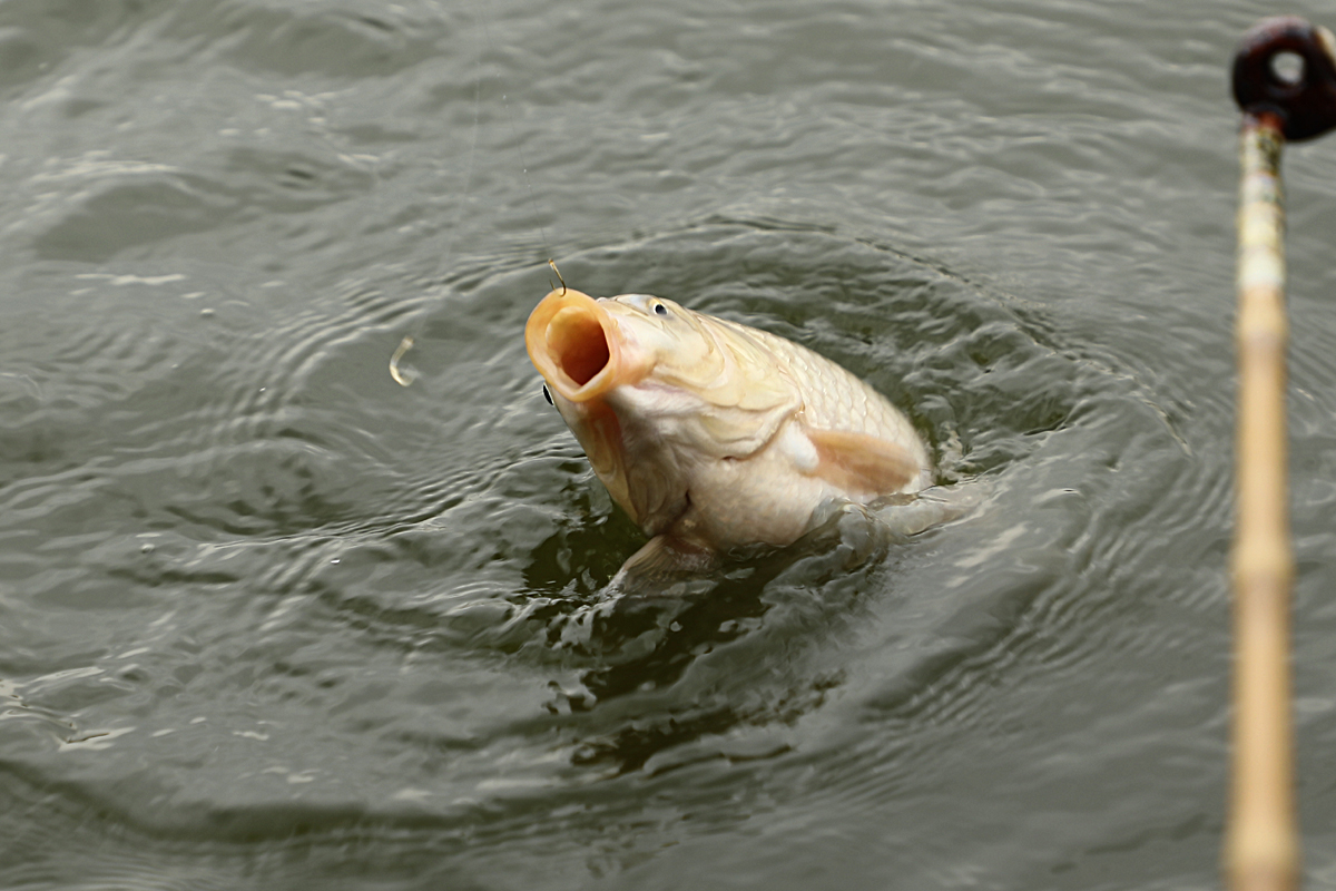 5edeeccde392c52e42e0166a937e0014_1677658210_6001.jpg 5edeeccde392c52e42e0166a937e0014_1677658210_6001.jpg