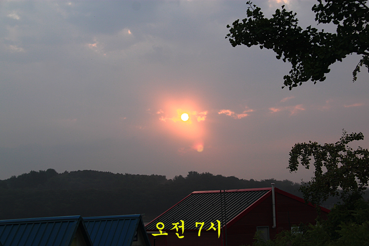 61c10d9d21ab6c158011207b03e88e08_1632296973_6844.jpg 61c10d9d21ab6c158011207b03e88e08_1632296973_6844.jpg