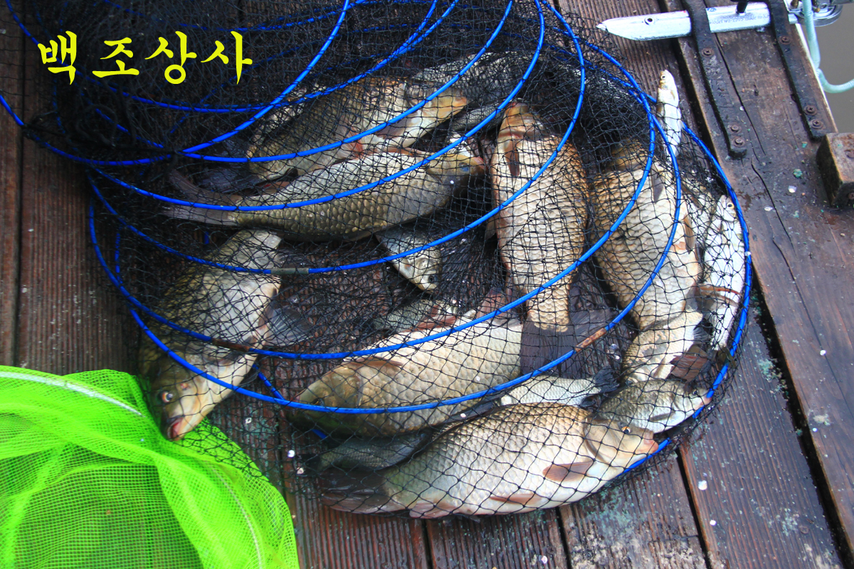 6fac232844f5b0492e386ecd48739fce_1629618568_5121.jpg 6fac232844f5b0492e386ecd48739fce_1629618568_5121.jpg