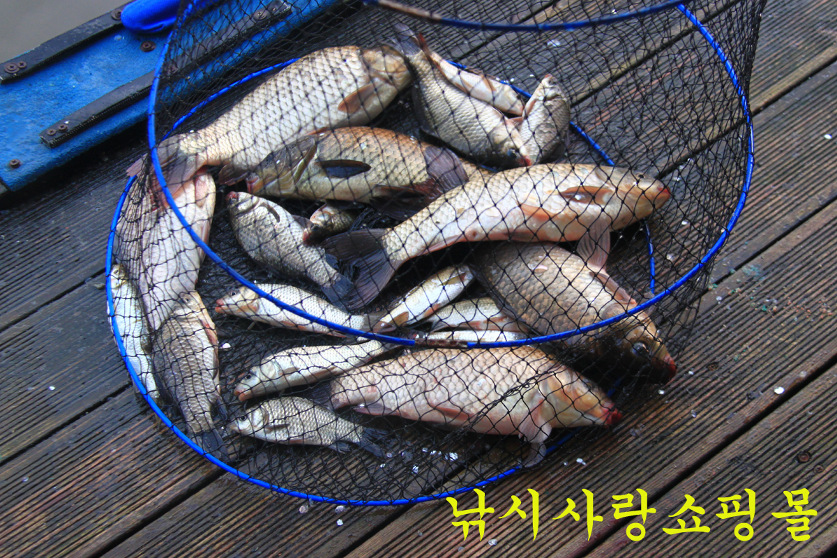 6fac232844f5b0492e386ecd48739fce_1629618568_9984.jpg 6fac232844f5b0492e386ecd48739fce_1629618568_9984.jpg