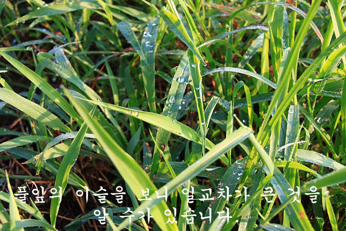 87adc4a447b876ccff5cae6dc25dc1a6_1661062810_0629.jpg 87adc4a447b876ccff5cae6dc25dc1a6_1661062810_0629.jpg