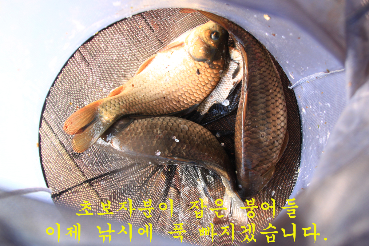 87adc4a447b876ccff5cae6dc25dc1a6_1661062811_9391.jpg 87adc4a447b876ccff5cae6dc25dc1a6_1661062811_9391.jpg