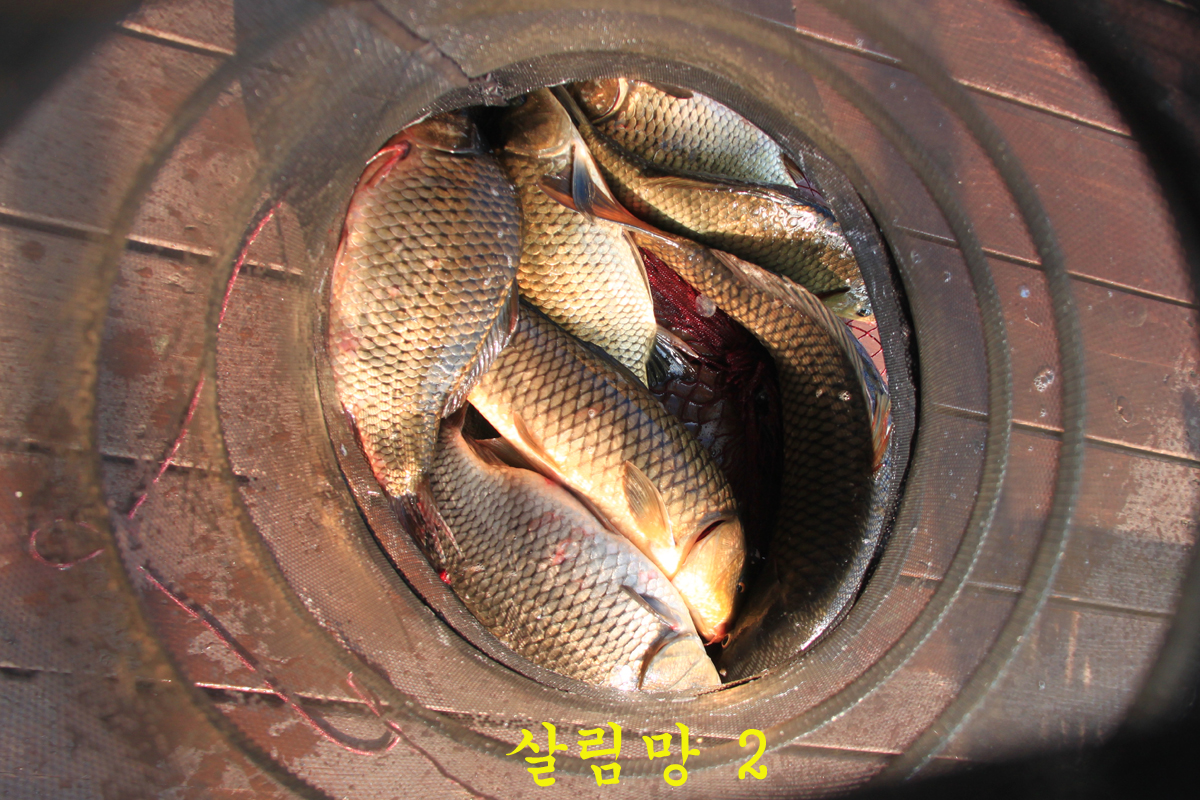 87adc4a447b876ccff5cae6dc25dc1a6_1661062824_2485.jpg 87adc4a447b876ccff5cae6dc25dc1a6_1661062824_2485.jpg