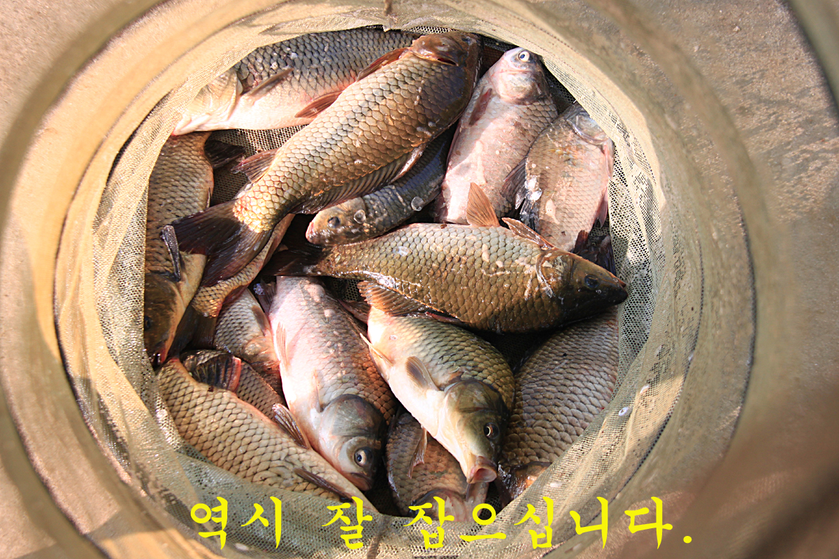 87adc4a447b876ccff5cae6dc25dc1a6_1661062835_3984.jpg 87adc4a447b876ccff5cae6dc25dc1a6_1661062835_3984.jpg