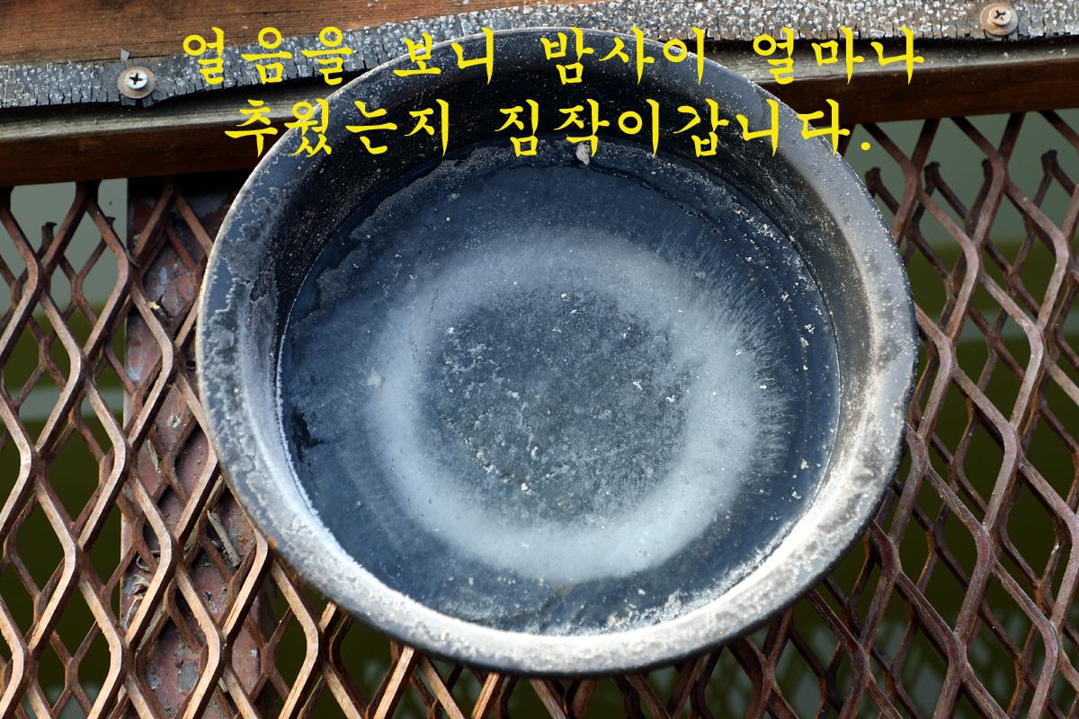 9d37d806ed73725185d8cd92aff6a6fc_1675497684_8128.jpg 9d37d806ed73725185d8cd92aff6a6fc_1675497684_8128.jpg