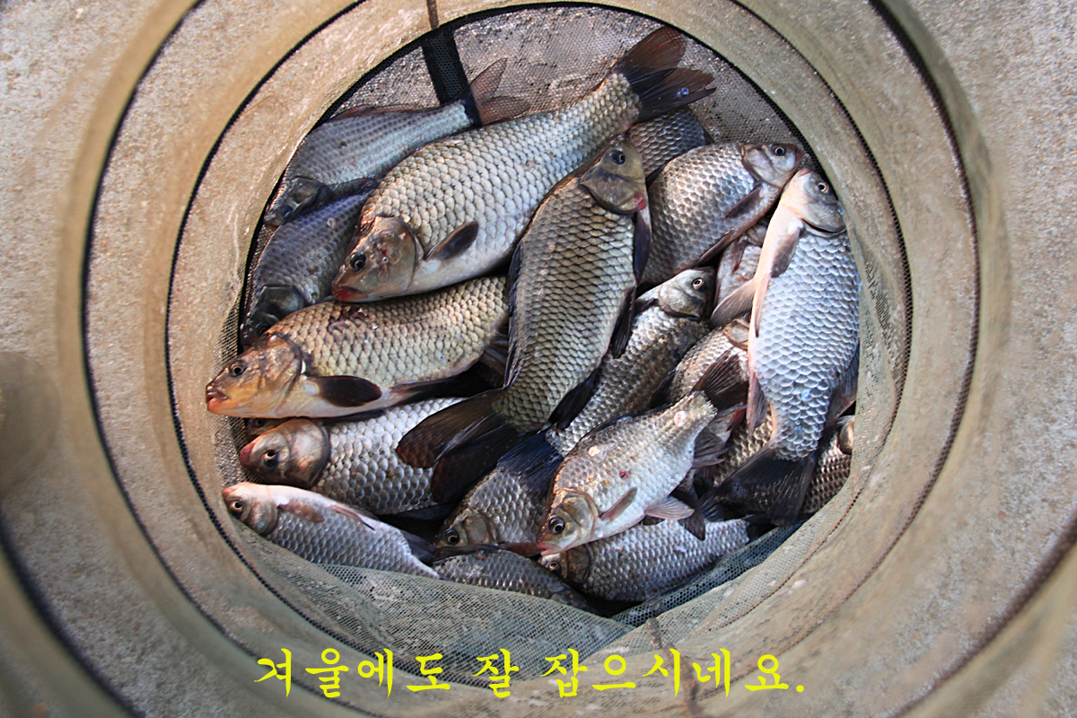 abd070d3b089c3ff54078e34cc210818_1639297749_087.jpg abd070d3b089c3ff54078e34cc210818_1639297749_087.jpg