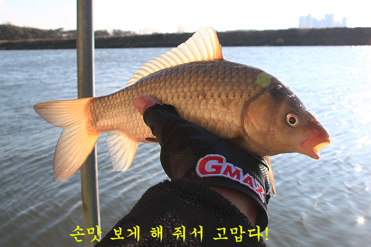 abd070d3b089c3ff54078e34cc210818_1639730586_7966.jpg abd070d3b089c3ff54078e34cc210818_1639730586_7966.jpg