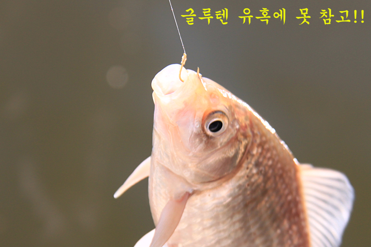 abd070d3b089c3ff54078e34cc210818_1639730587_3545.jpg abd070d3b089c3ff54078e34cc210818_1639730587_3545.jpg