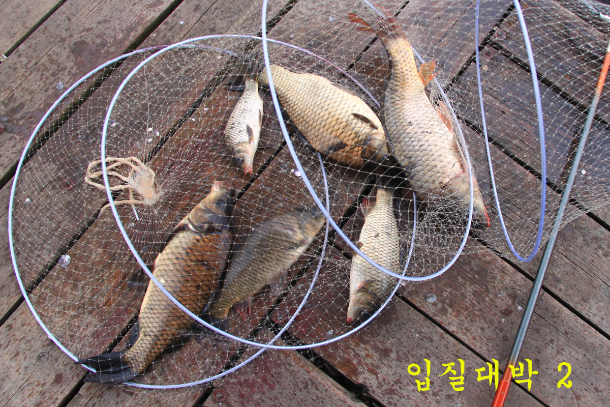 b2a8def493b6c50941a9d3194380d48a_1650792061_5185.jpg b2a8def493b6c50941a9d3194380d48a_1650792061_5185.jpg