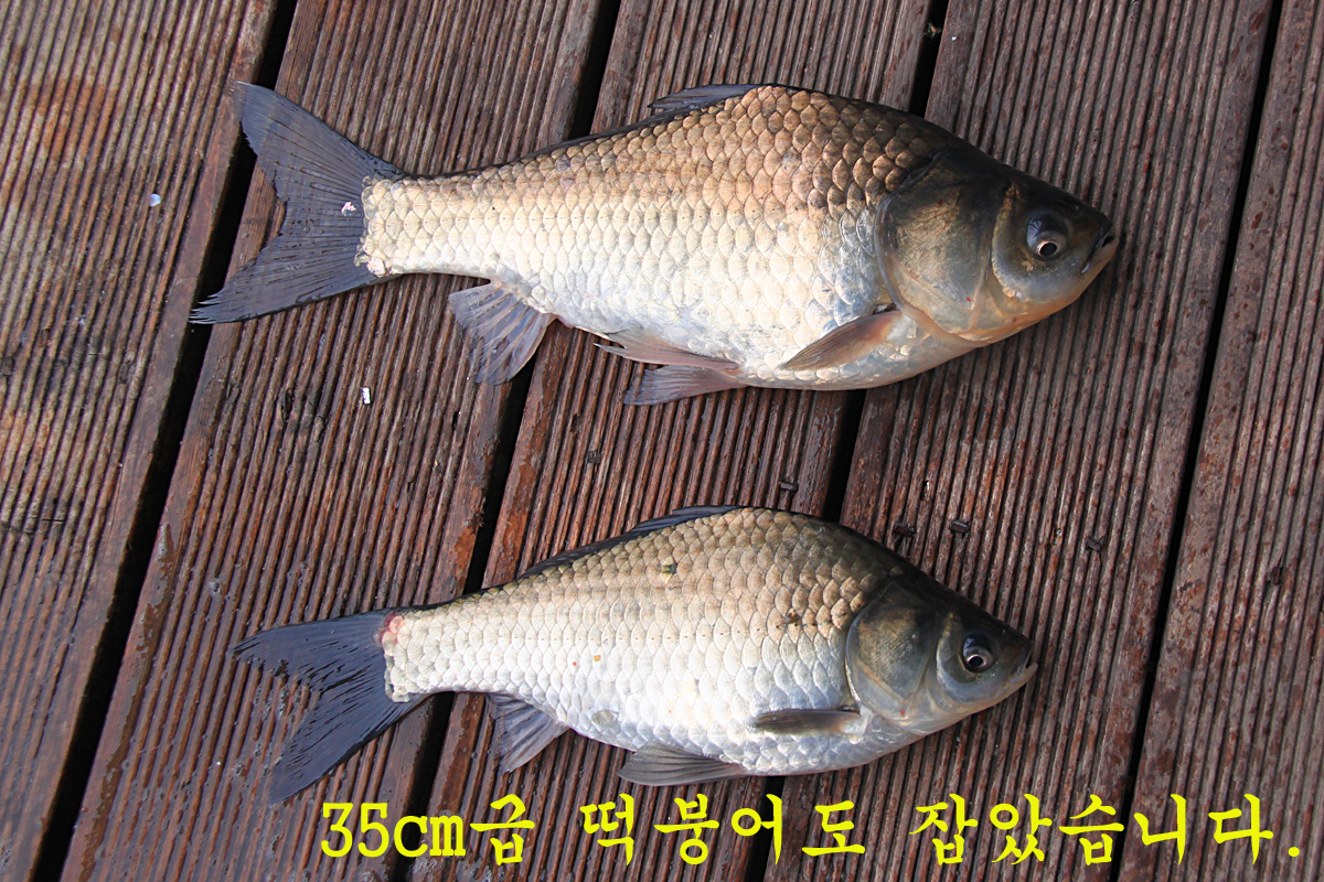 b2a8def493b6c50941a9d3194380d48a_1650792086_4979.jpg b2a8def493b6c50941a9d3194380d48a_1650792086_4979.jpg