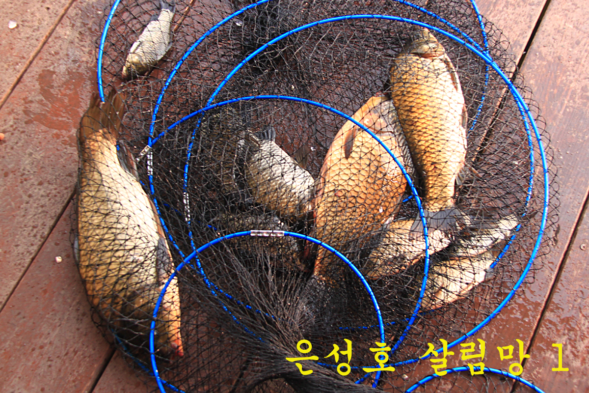 b9b3275b969e1be3f5b663c1a11d9186_1657436684_368.jpg b9b3275b969e1be3f5b663c1a11d9186_1657436684_368.jpg