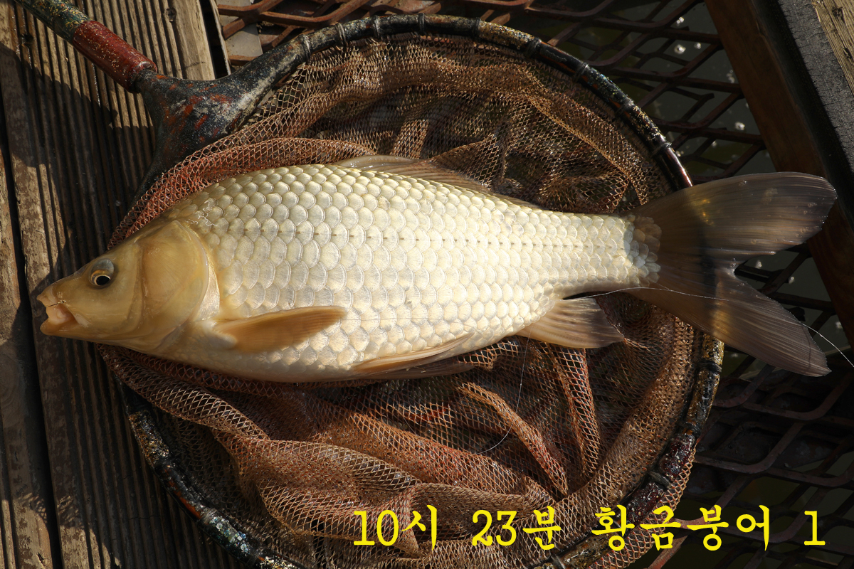 ecd3c3dc81c6f40945994d5afccf36d2_1672303419_5159.jpg ecd3c3dc81c6f40945994d5afccf36d2_1672303419_5159.jpg