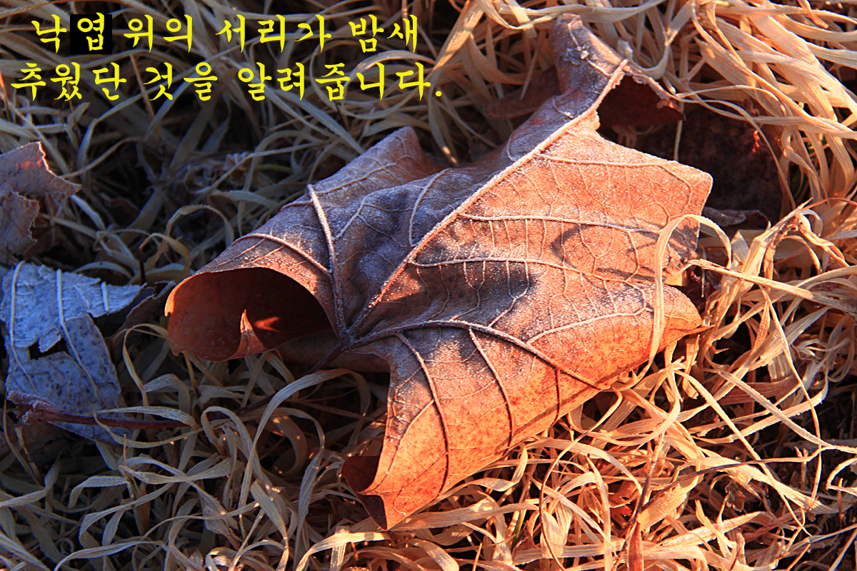 ef09ee30d0ac34f8c9c437f3cd4c6ced_1645952598_5592.jpg ef09ee30d0ac34f8c9c437f3cd4c6ced_1645952598_5592.jpg