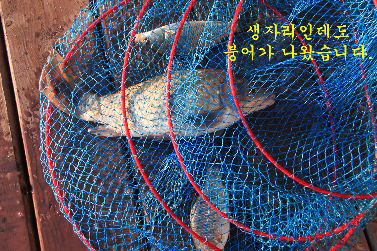 ef09ee30d0ac34f8c9c437f3cd4c6ced_1645952600_5578.jpg ef09ee30d0ac34f8c9c437f3cd4c6ced_1645952600_5578.jpg