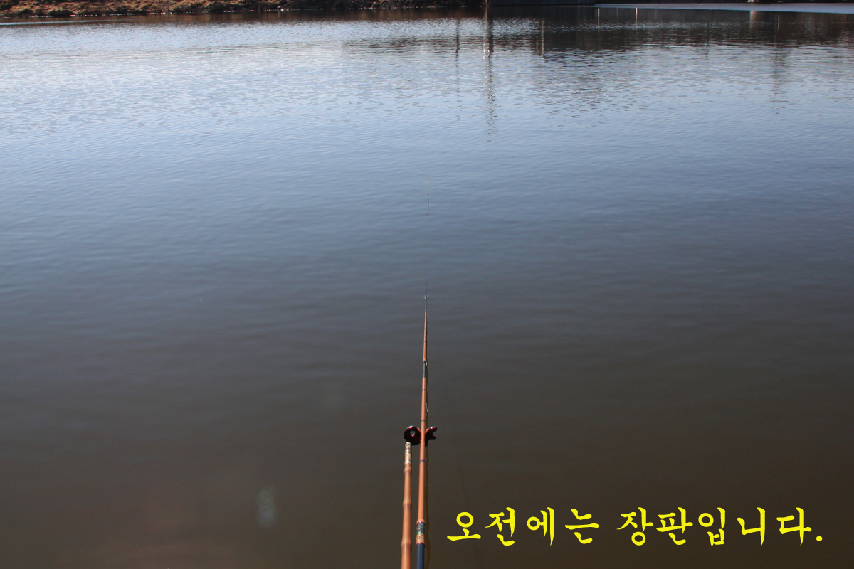 ef09ee30d0ac34f8c9c437f3cd4c6ced_1645952625_2239.jpg ef09ee30d0ac34f8c9c437f3cd4c6ced_1645952625_2239.jpg