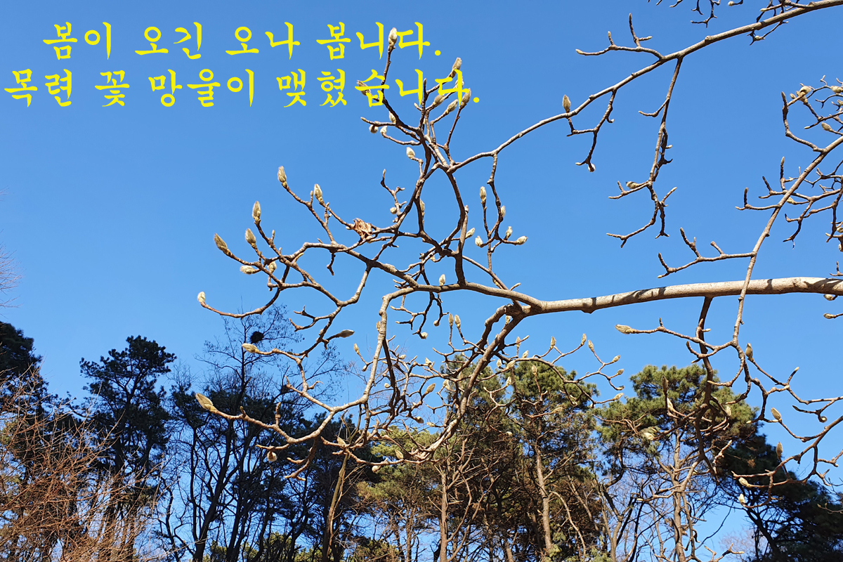 ef09ee30d0ac34f8c9c437f3cd4c6ced_1645952637_2692.jpg ef09ee30d0ac34f8c9c437f3cd4c6ced_1645952637_2692.jpg