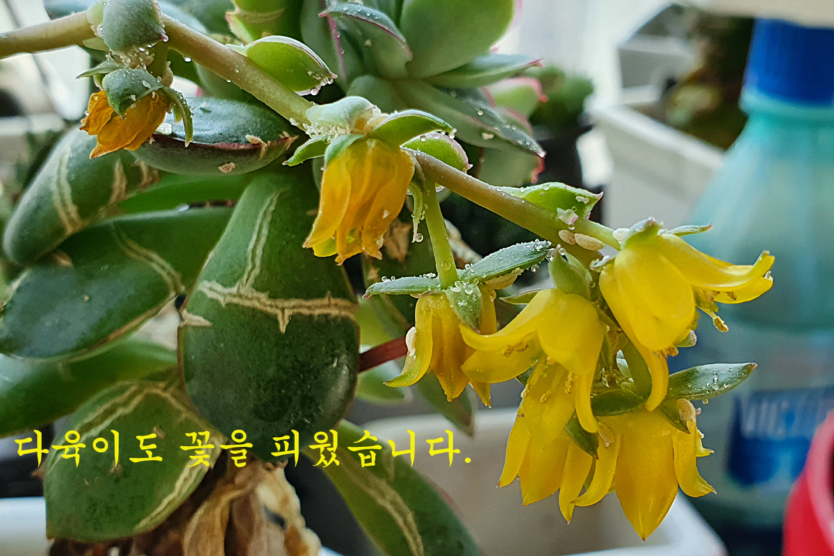 ef09ee30d0ac34f8c9c437f3cd4c6ced_1645952637_9548.jpg ef09ee30d0ac34f8c9c437f3cd4c6ced_1645952637_9548.jpg