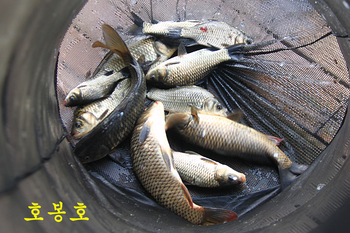 f4d87b0ea991aa499e44af187ebf065e_1663491275_312.jpg f4d87b0ea991aa499e44af187ebf065e_1663491275_312.jpg
