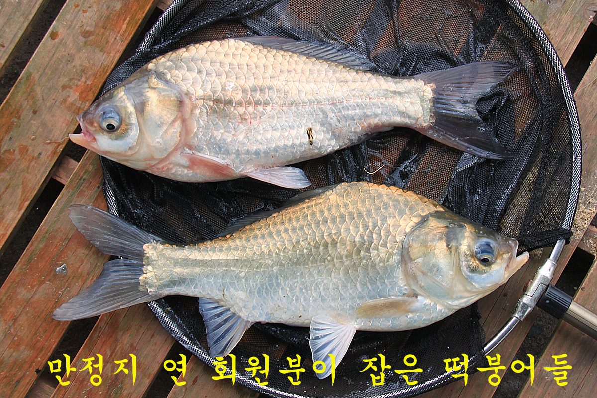 f4d87b0ea991aa499e44af187ebf065e_1663491296_9218.jpg f4d87b0ea991aa499e44af187ebf065e_1663491296_9218.jpg