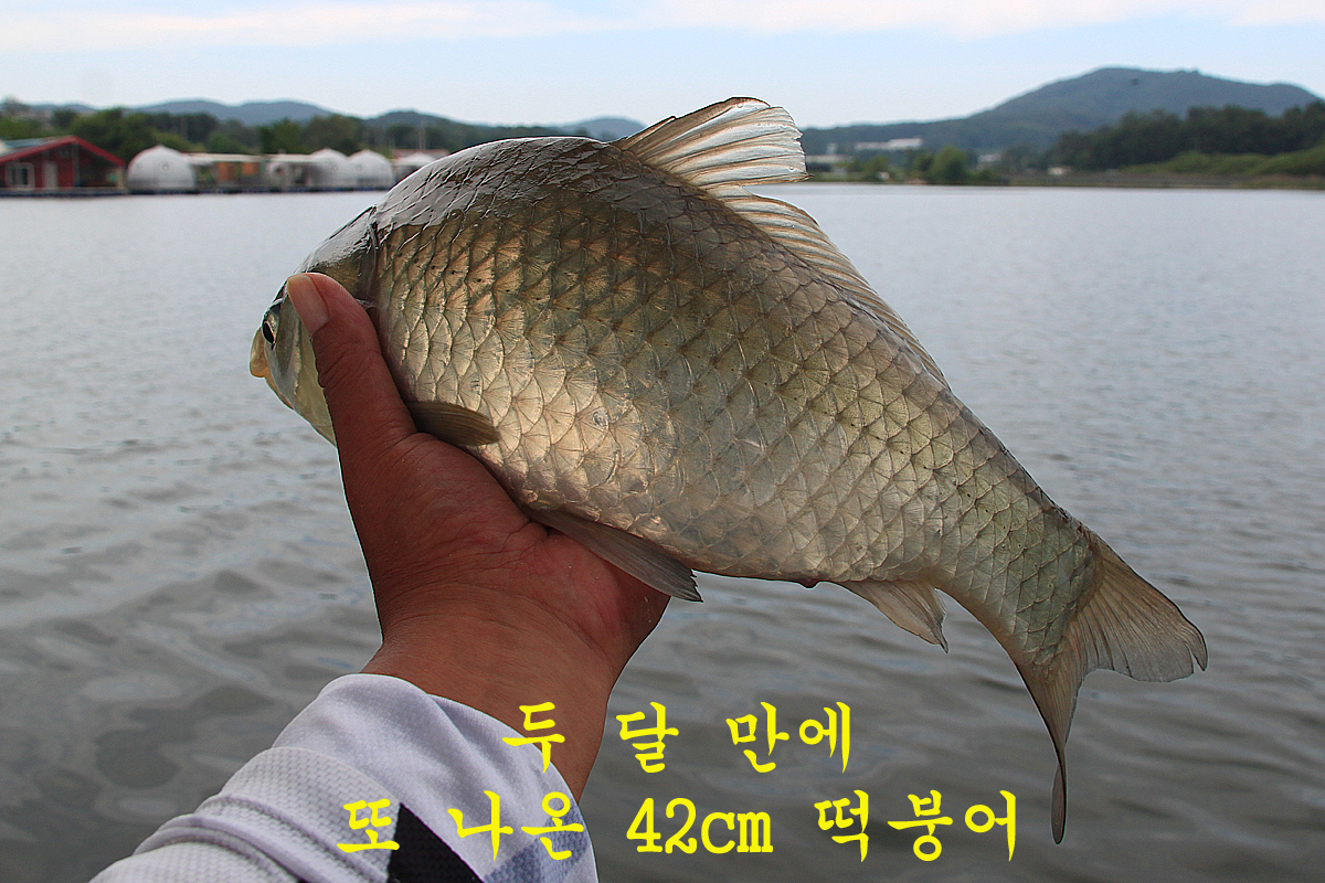 f4d87b0ea991aa499e44af187ebf065e_1663491298_8696.jpg f4d87b0ea991aa499e44af187ebf065e_1663491298_8696.jpg